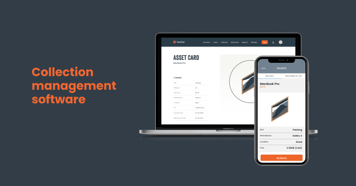 Art collection management software